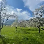 In Near Wilder Kaiser Area 펜션 솔