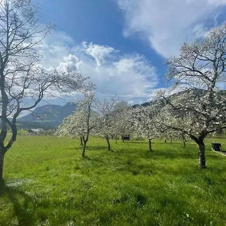 In Near Wilder Kaiser Area Дом отдыха Зёлль