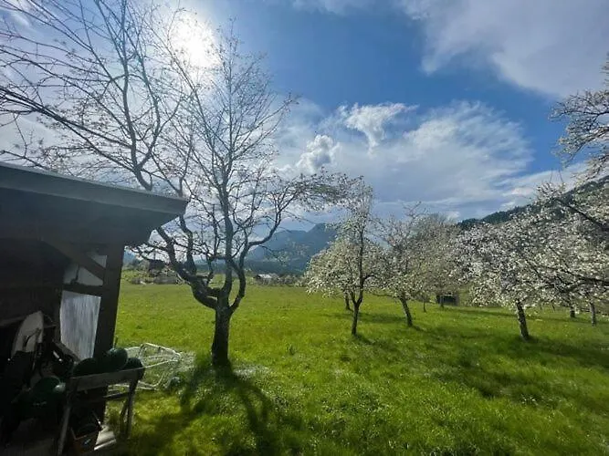 Σπίτι διακοπών In Near Wilder Kaiser Area Söll