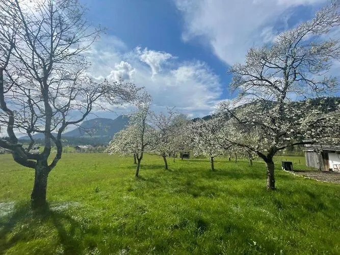 In Near Wilder Kaiser Area Σπίτι διακοπών Söll